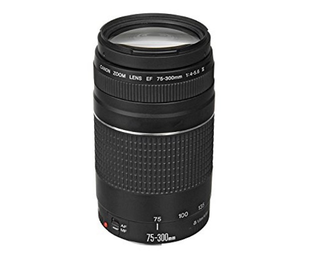 Best DSLR Lenses In India 2023 Edition